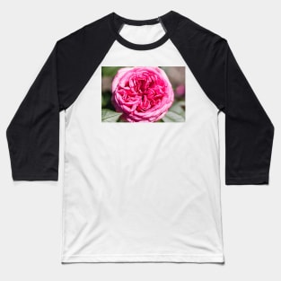 Pink rose Baseball T-Shirt